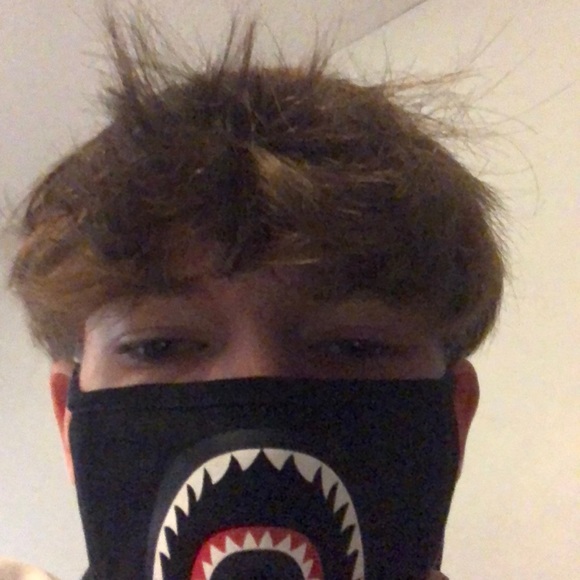 Meet your Posher, Ethan - Picture 1 of 1